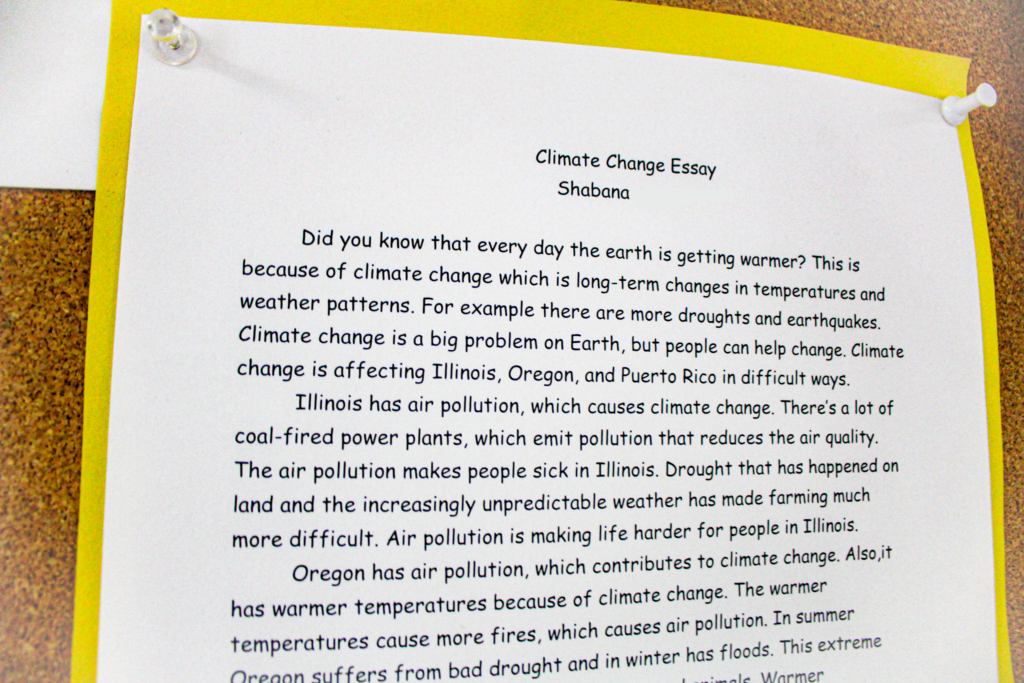 Climate Change Essay 2